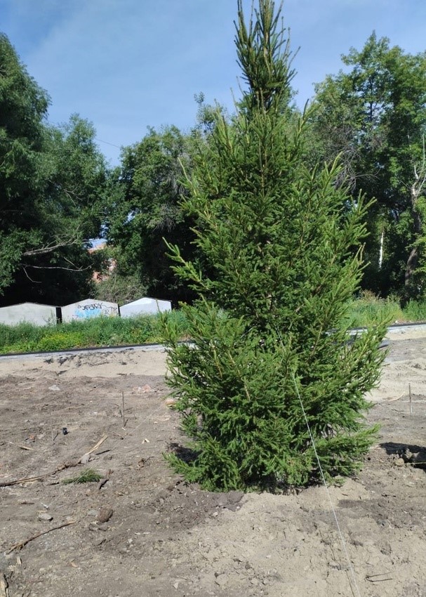 Продолжается реализация общественно полезного проекта