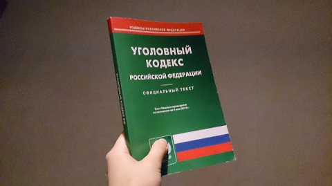 Дело снова возбудят из-за нарушения прав многодетной мамы в Дзержинске