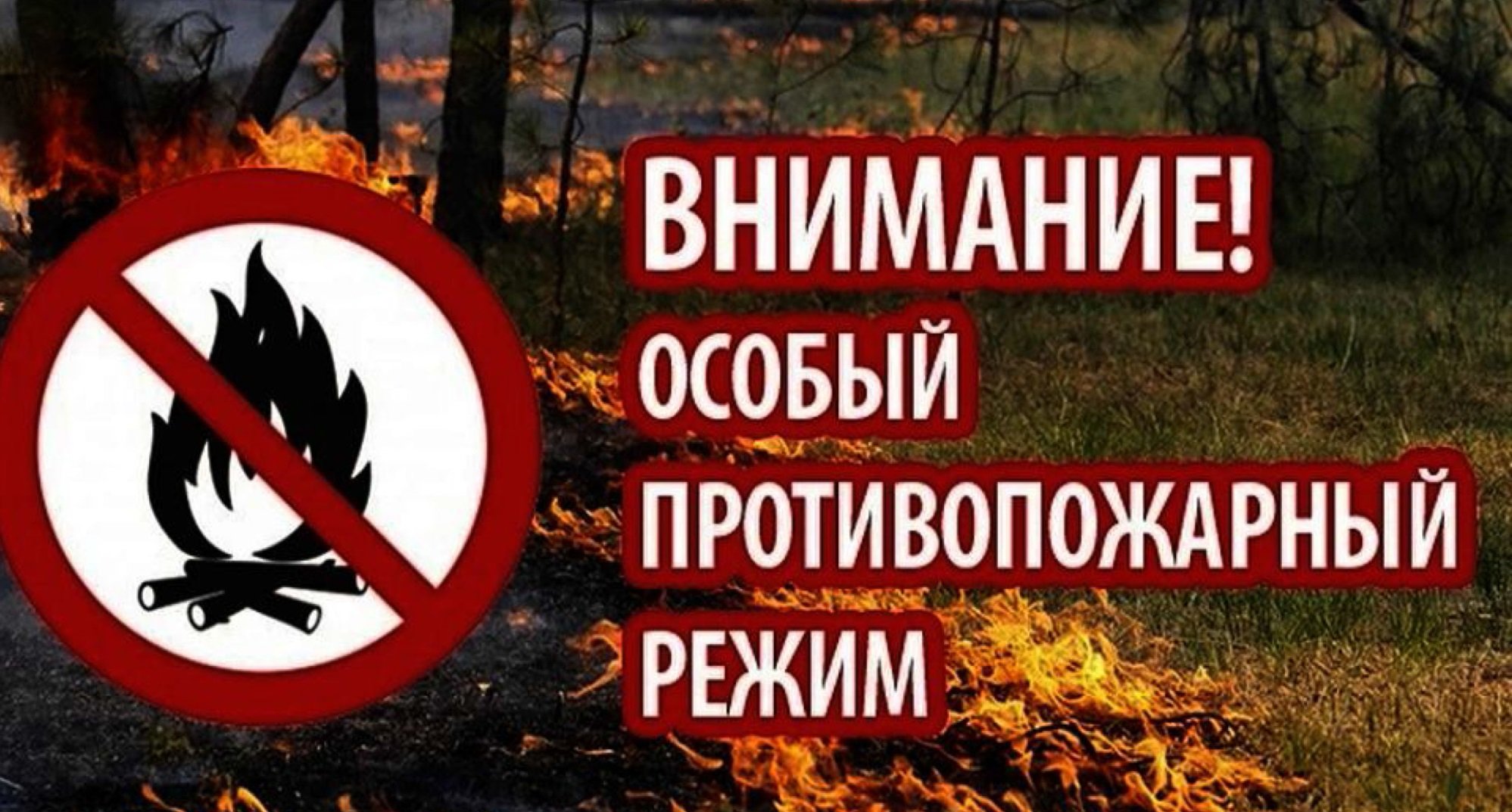 Внимание: действует особый противопожарный режим