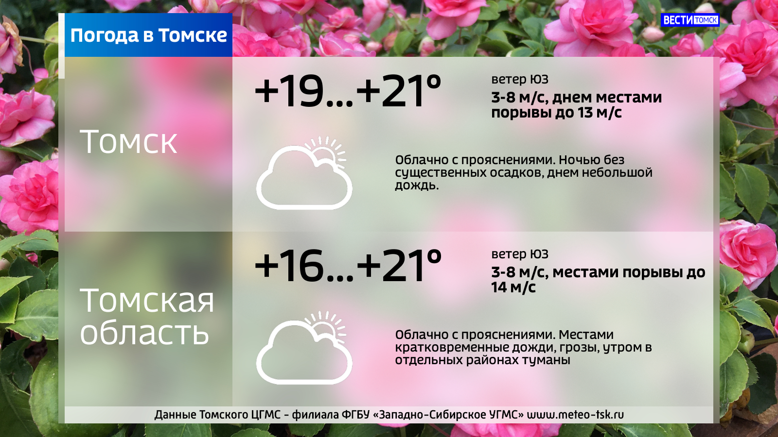 Облачно и до +21°C тепла: погода в Томске в понедельник