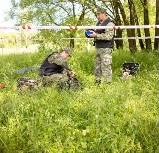 В лесу на востоке Верхневолжья нашли тело мужчины