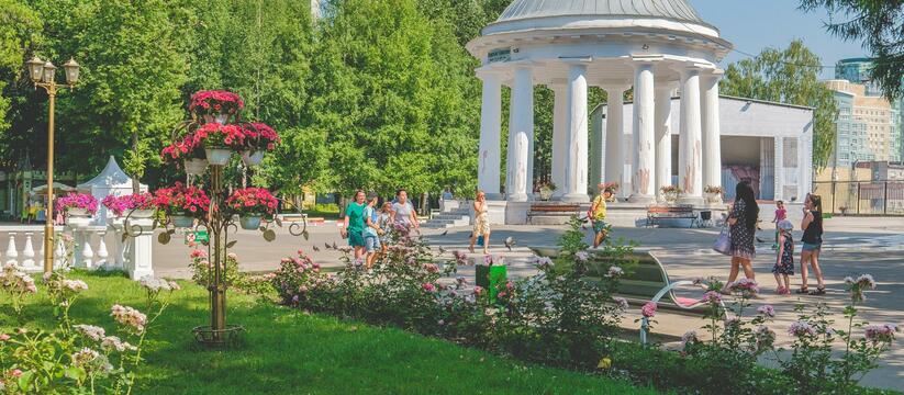 В Пермском парке начали массово погибать липы