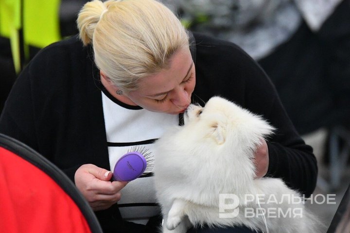 День в истории 26 августа: взятие Москвы, признание Южной Осетии и Абхазии, Путин в Казани