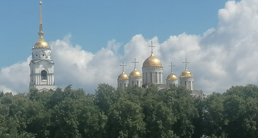 Владимирская область попала в ТОП-50 в рейтинге вовлеченности населения в МСБ