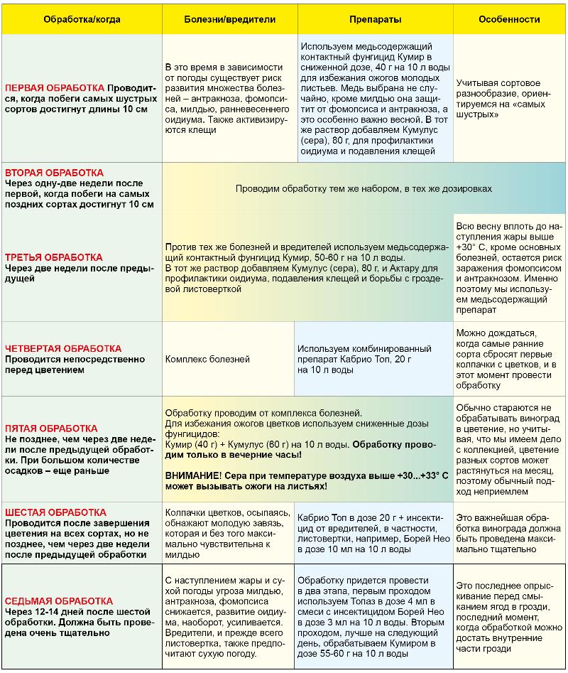 Семь сезонных обработок виноградника от болезней и вредителей