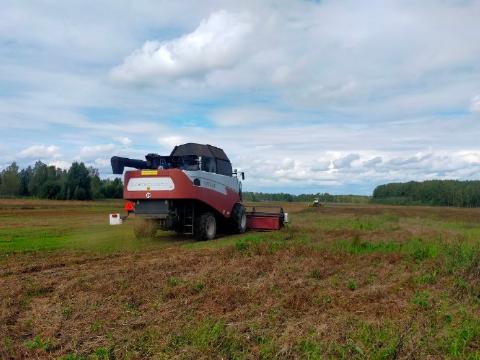 Проливные дожди негативно влияют на уборочную кампанию в Томской области