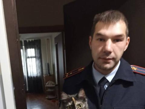 В Красноярске полицейские нашли хозяйку запертого в квартире кота