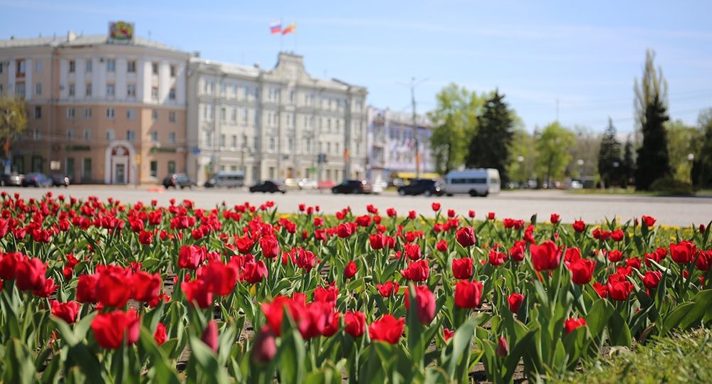 Мэр Воронежа пренебрёг опытом ради новичка в городском хозяйстве