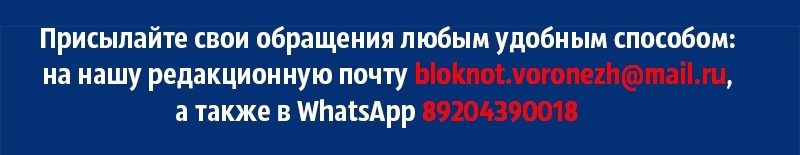 Говнонариум 3: подвальные нечистоты душат воронежцев вонью