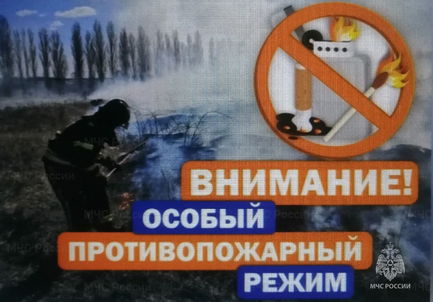 Во Владимирской области установлен особый противопожарный режим с 13 сентября 2024 года