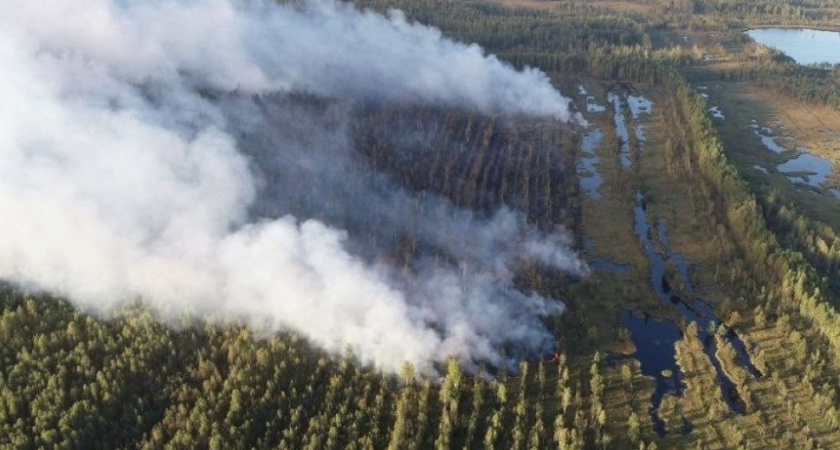 В Камешковском районе лесной пожар тушат 75 человек