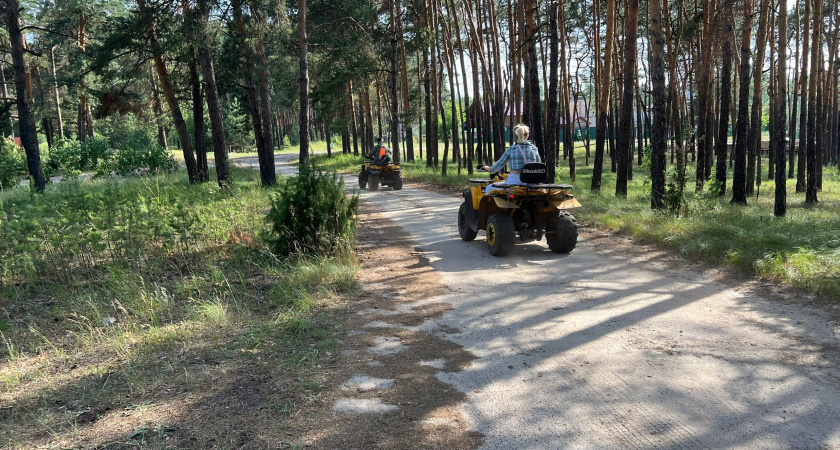 Главные новости за 26 сентября Йошкар-Ола: Преступники поймали жителей Марий Эл и назначили нового руководителя ФСБ и другие