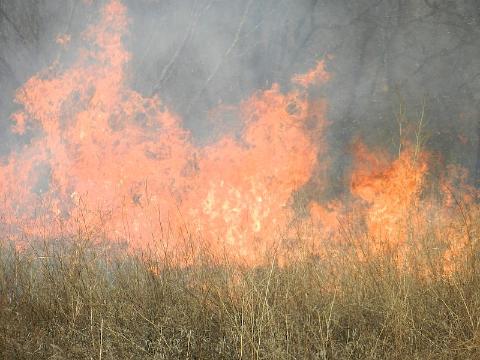 Лесной пожар угрожает селу отдаленному селу на севере Забайкальского края