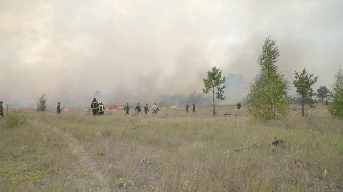 Количество ландшафтных пожаров в Воронежской области сократилось в 5 раз