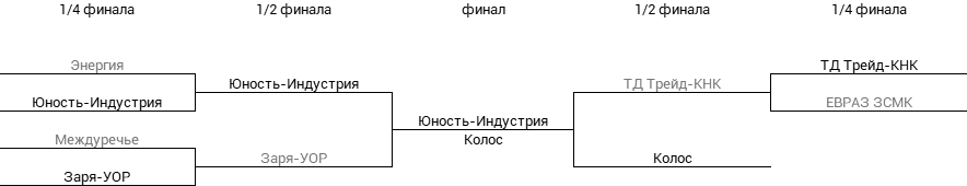 Финальный матч Кубка Федерации