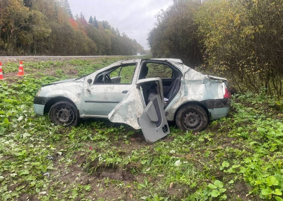 В Батецком округе автомобиль «Рено Логан» перевернулся в кювете