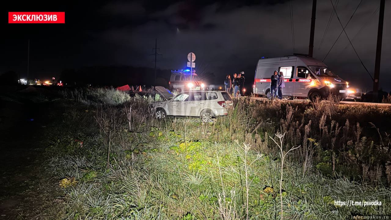 В Псковском районе автомобиль с пьяным водителем врезался в дорожные ограждения и вылетел на обочину