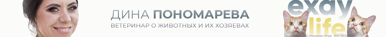 Гороскоп 12 октября: Стрельцам необходим спокойный отдых, Львам предстоят крупные траты