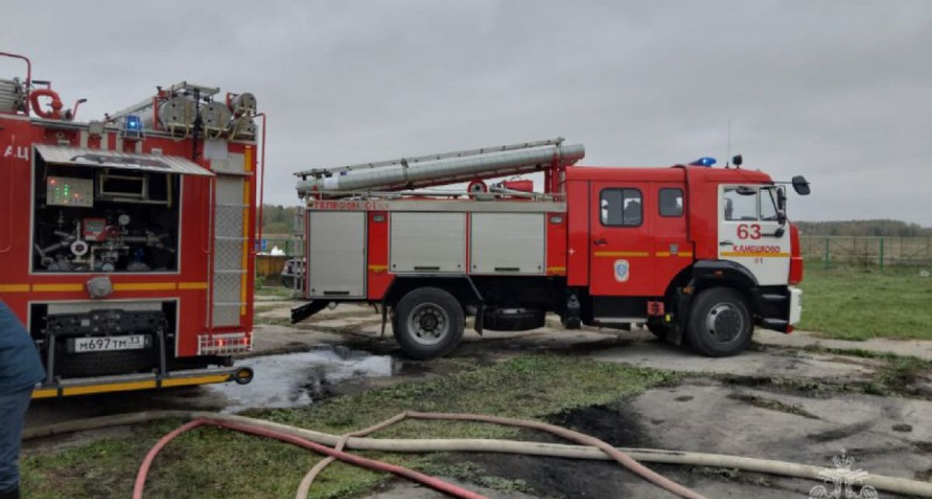 Во Владимирской области погибли 65 поросят на пожаре