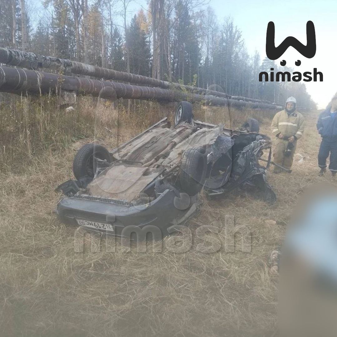 Главные новости Нижнего Новгорода 19 октября: ДТП в Сарове, помощь школьницы.