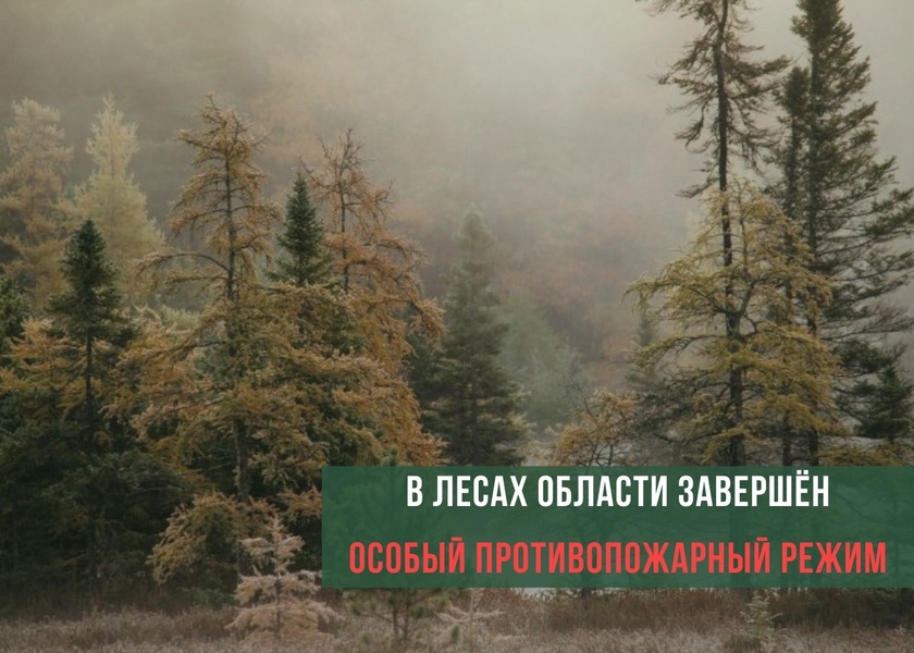 В лесах Белгородской области завершён особый противопожарный режим