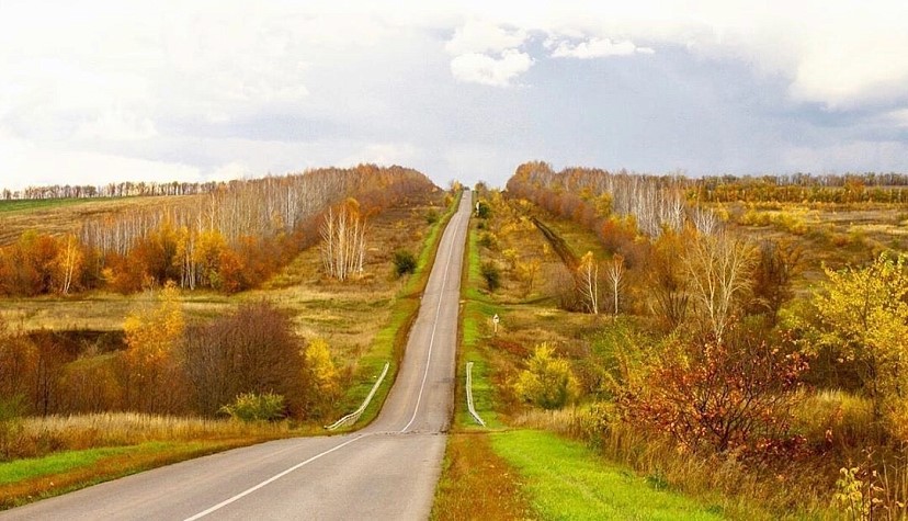 Саратовцев восхитила фотография трассы на Красноармейск осенью