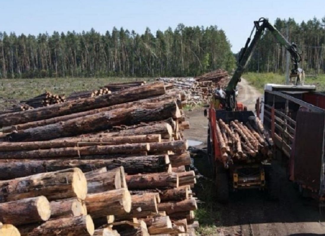 Из Никольска отправили 25 кубометров леса в зону СВО