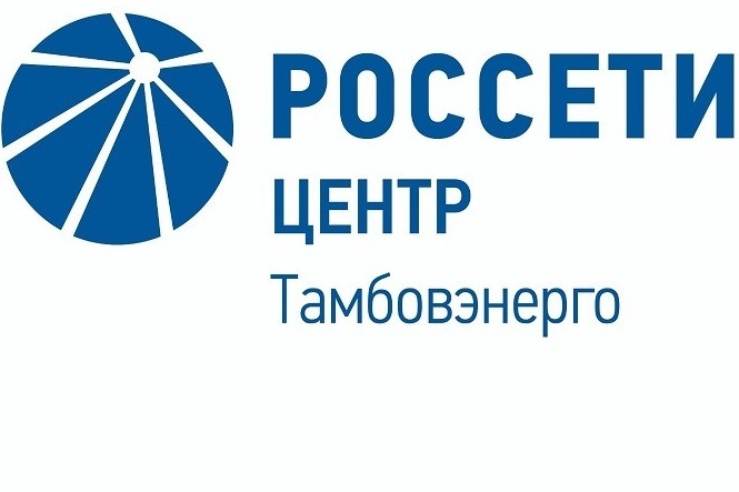 Специалисты «Тамбовэнерго» готовы к работе в условиях непогоды