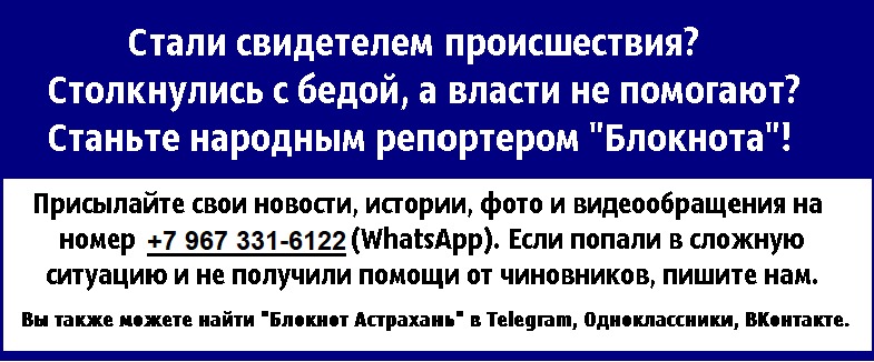 Самые необычные и полезные помидоры вырастили под Астраханью