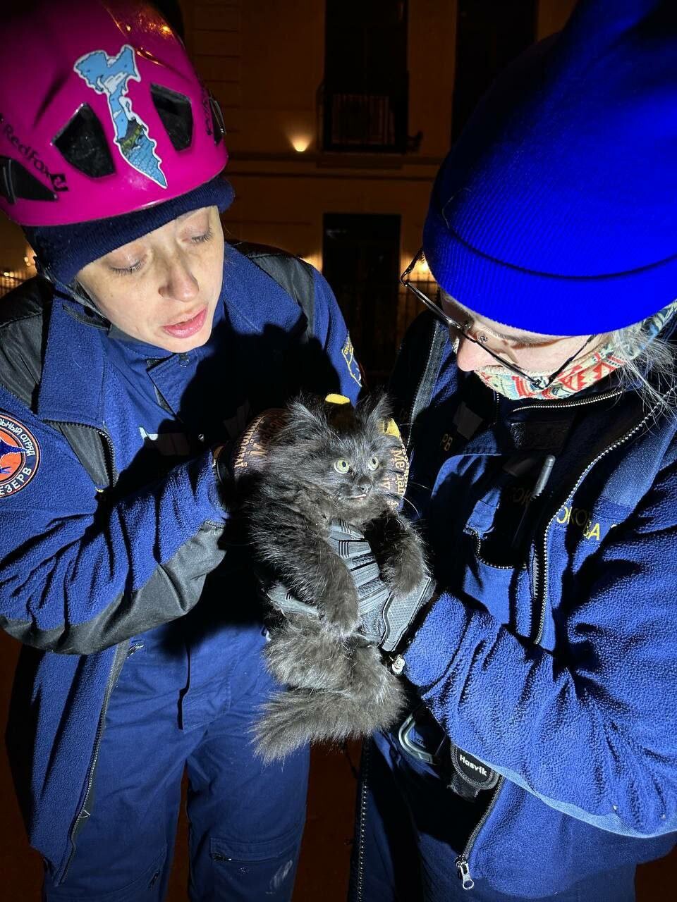 Спасатели вызволили застрявшего на стройке дома «домовенка Кузю»