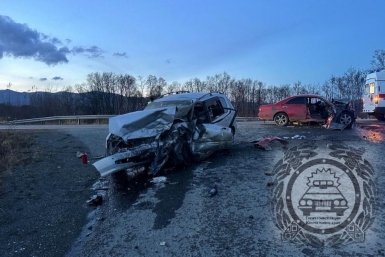 В Камчатском крае погиб водитель и пострадали три пассажира опрокинувшегося авто