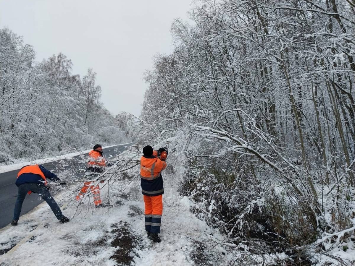 На дорогах региона убрали мешающие проезду деревья