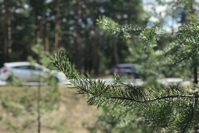 Дороги к озеру Таир и к селу Кокшайск отремонтируют в обозримой перспективе