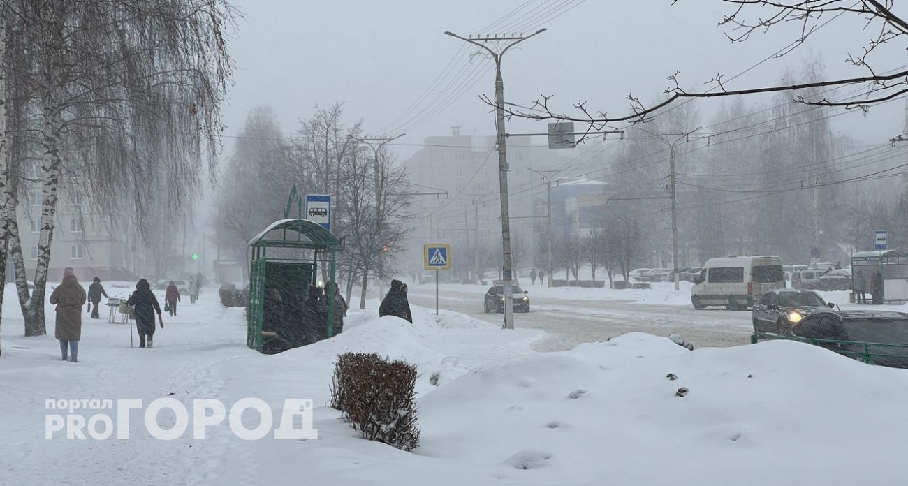 На нашем веку такой зимы еще не было: синоптики рассказали, к чему готовиться