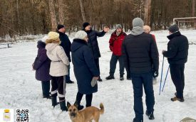 В шадринском бору появится новый спортивный комплекс