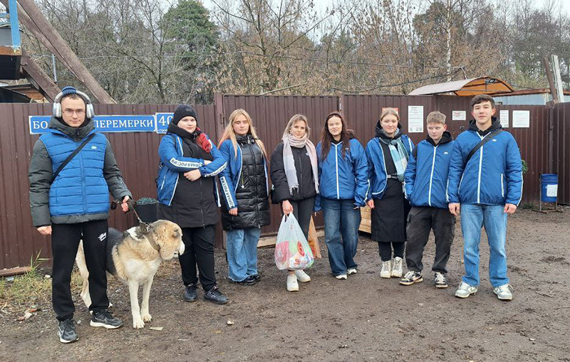 Ухаживать за бездомными животными в Тверской области помогают партия и волонтеры