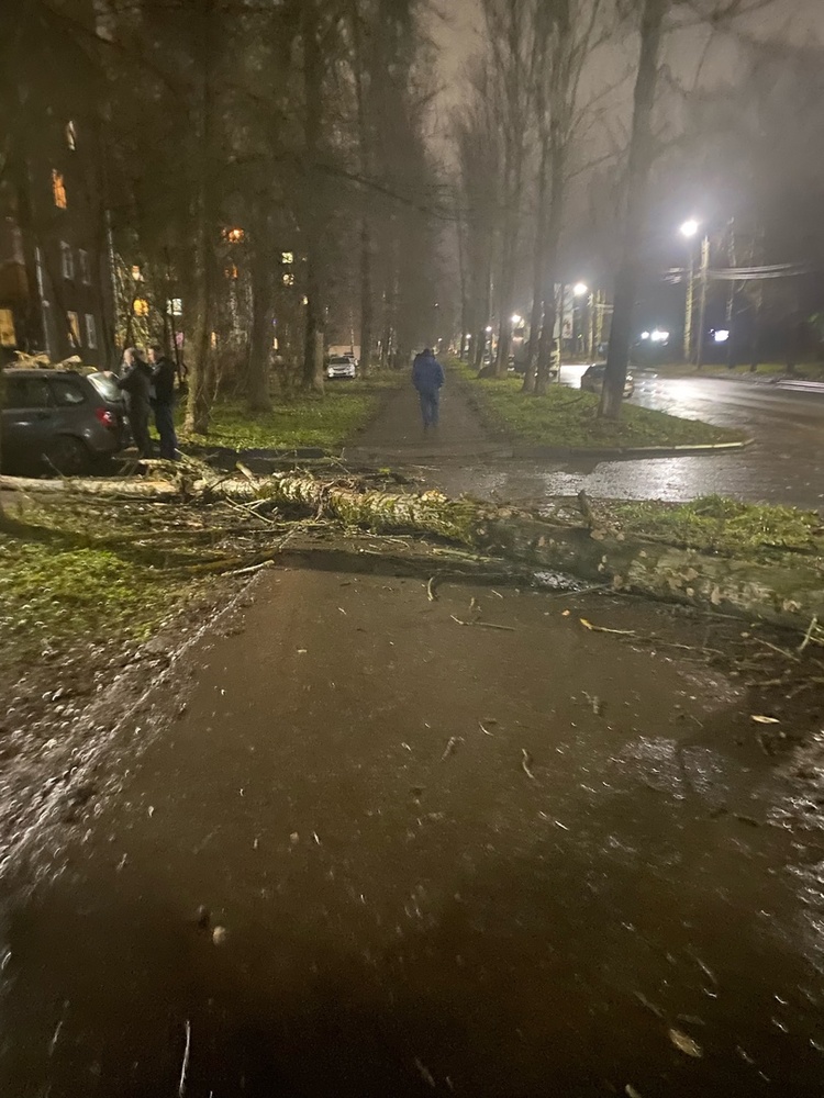 В Ярославле падают деревья, а в Рыбинске автобусные павильоны