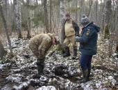 Поисковики вывезли крупные обломки советского самолёта Ил-2 из леса в Гдовском районе