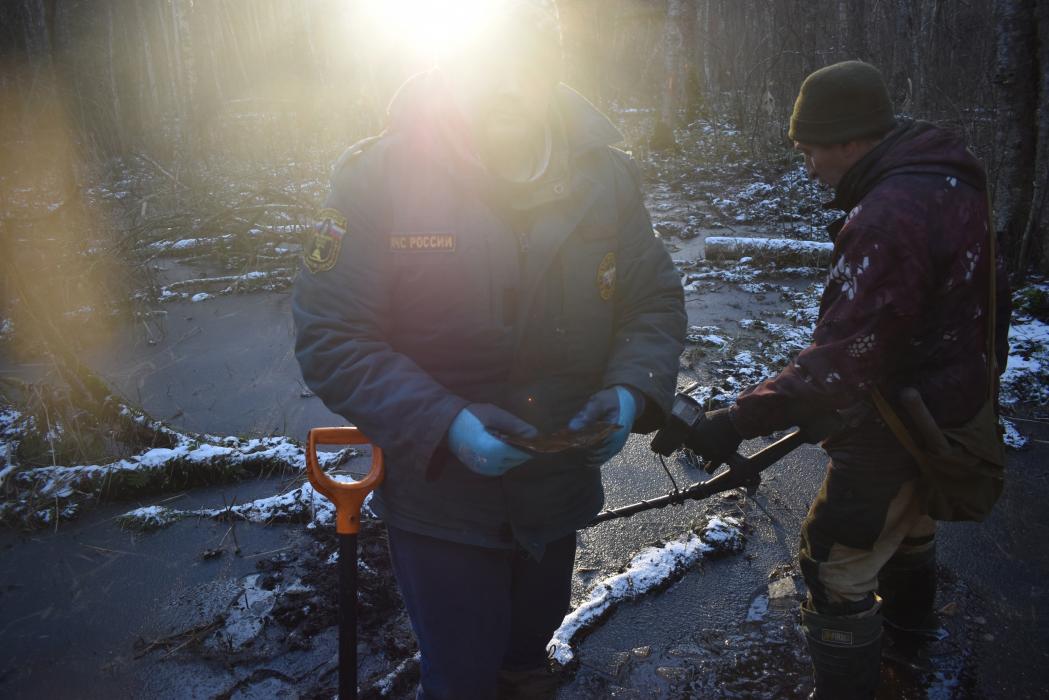 Поисковики вывезли крупные обломки советского самолёта Ил-2 из леса в Гдовском районе