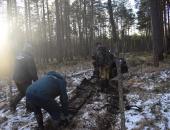 Поисковики вывезли крупные обломки советского самолёта Ил-2 из леса в Гдовском районе